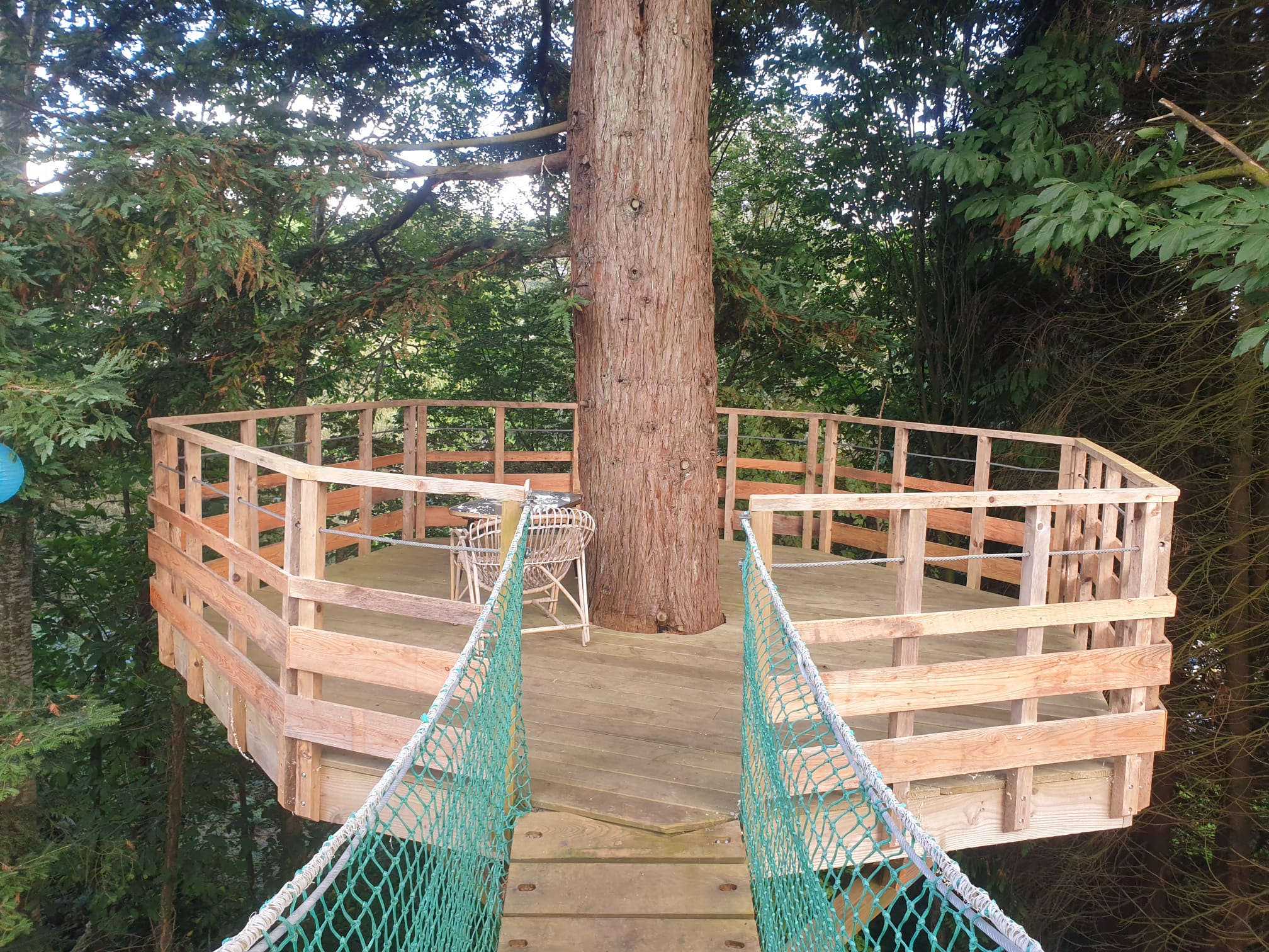 Plateforme perchée autour du tronc avec arrivée du pont de singe