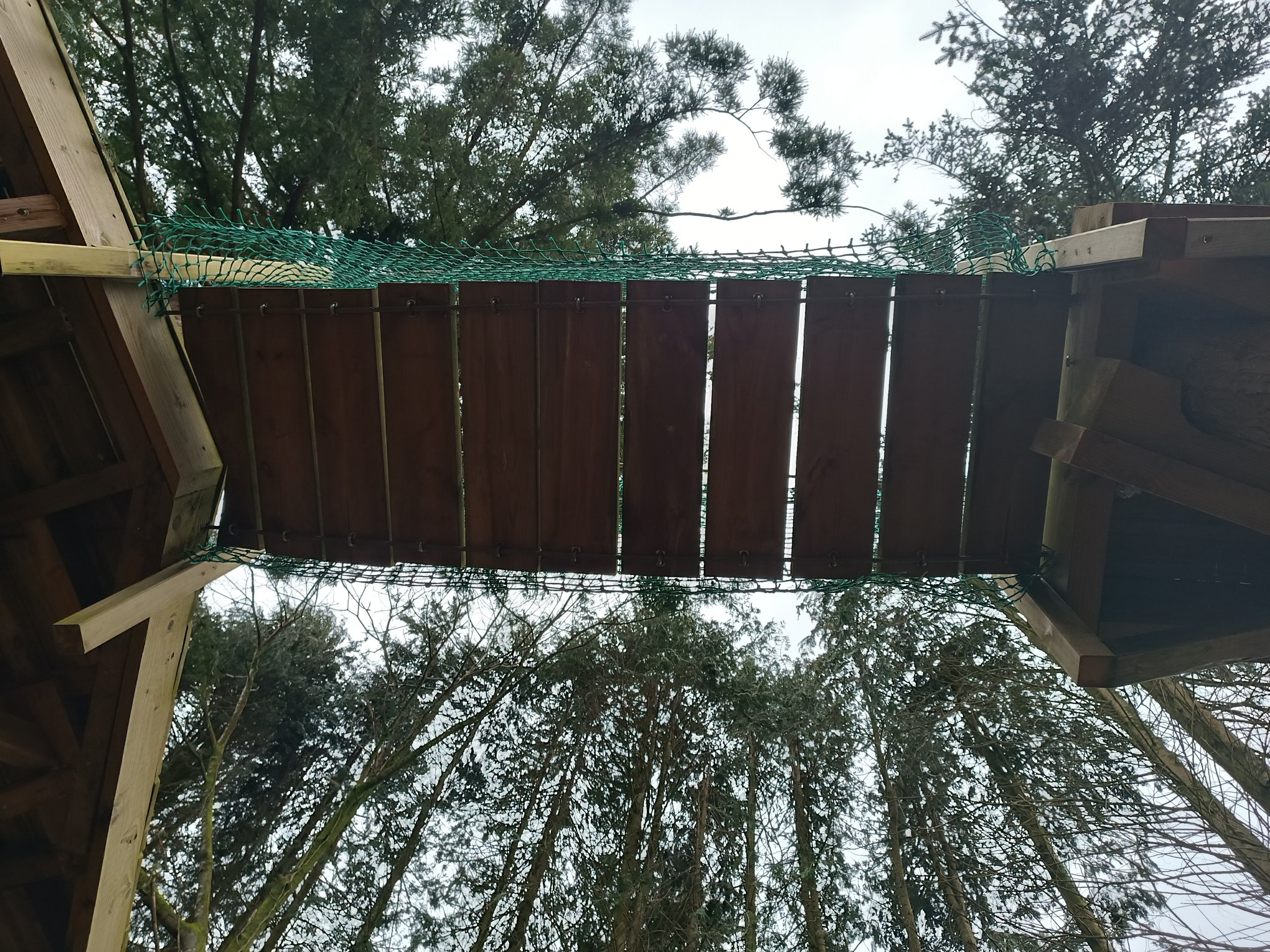 Pont de singe vu de dessous, suspendu en hauteur entre les arbres