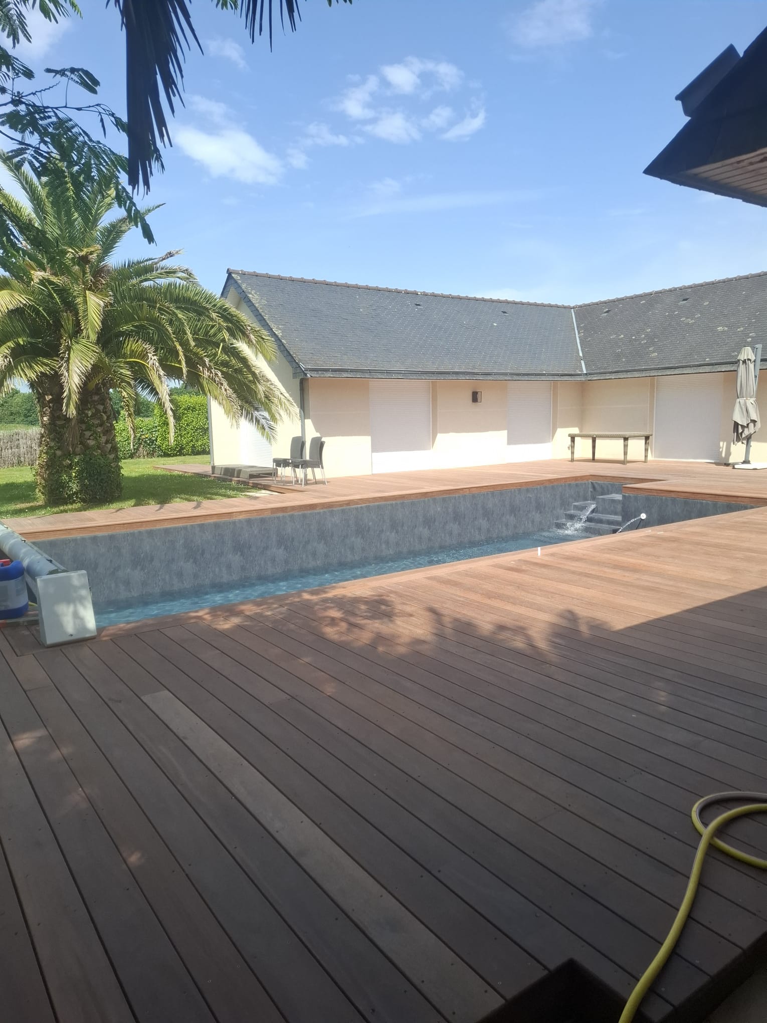 Terrasse de piscine en Cumaru avec palmier et maison en arrière-plan